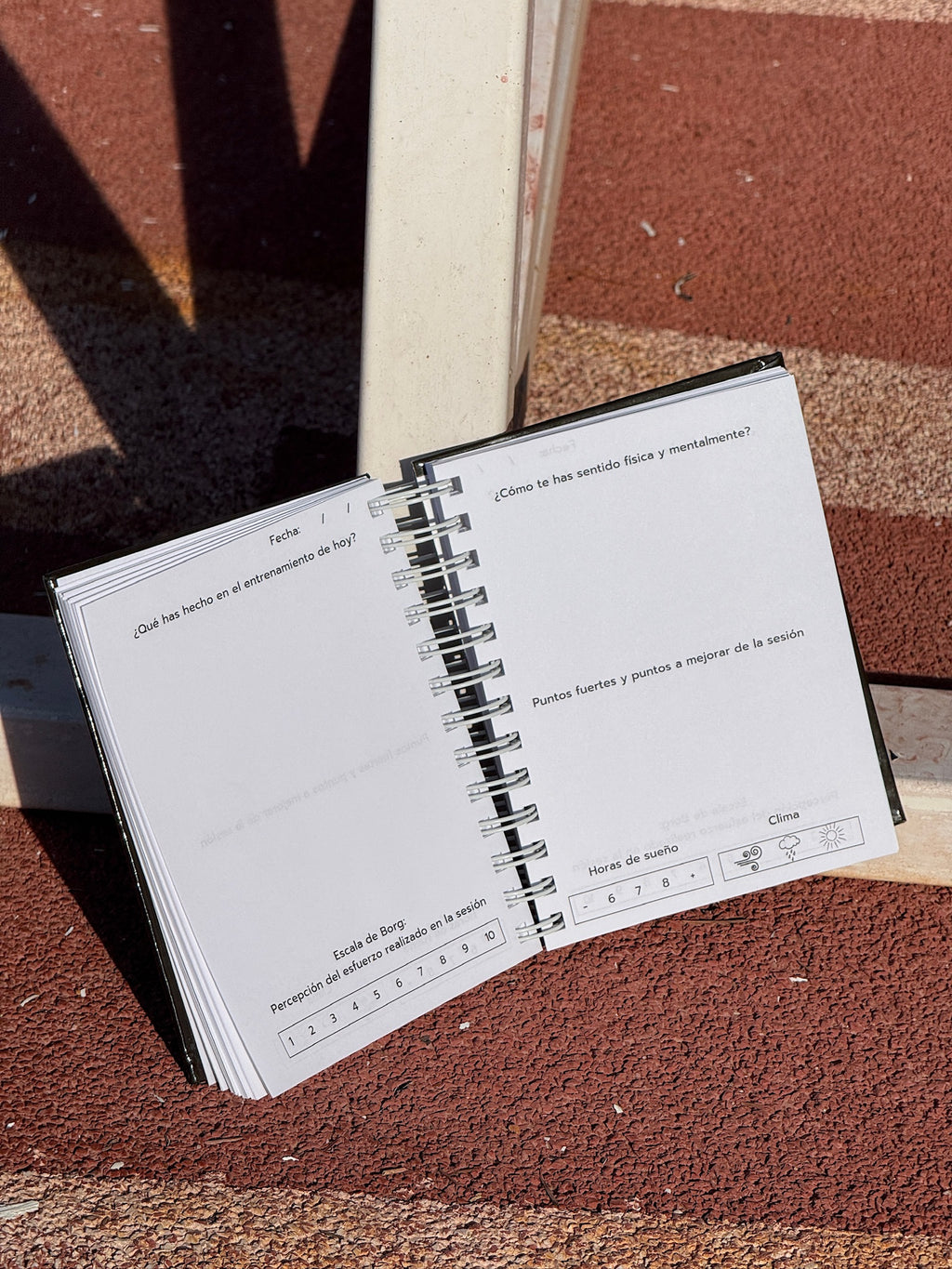 LÁCTICO Training Diary