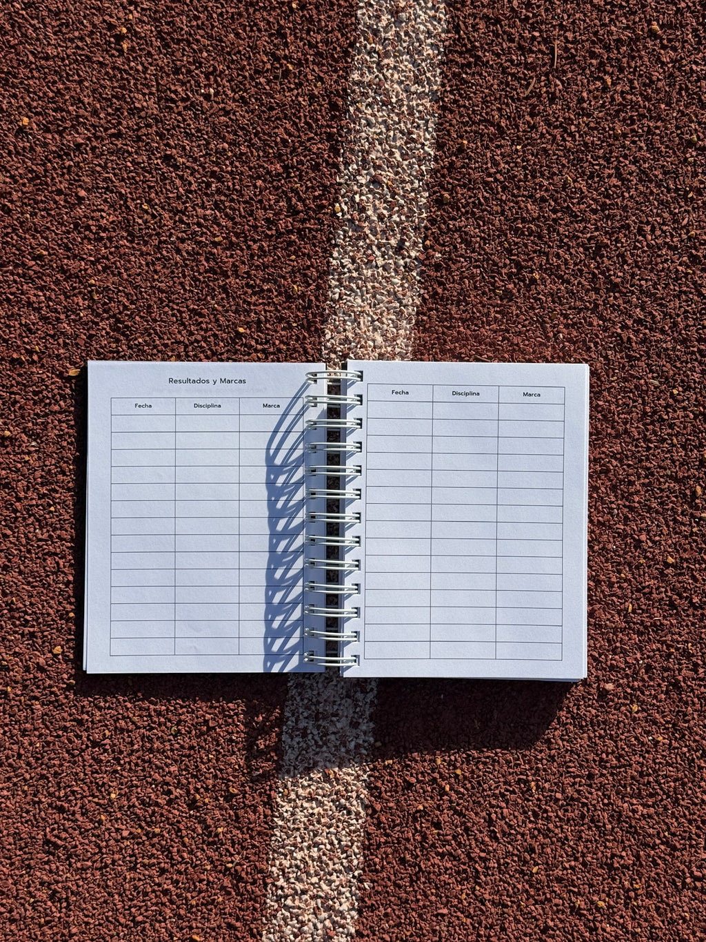 LÁCTICO Training Diary